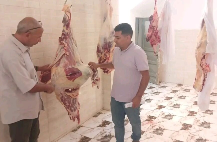 ضبط ربع طن لحوم مذبوحة خارج المجازر الحكومية في قويسنا