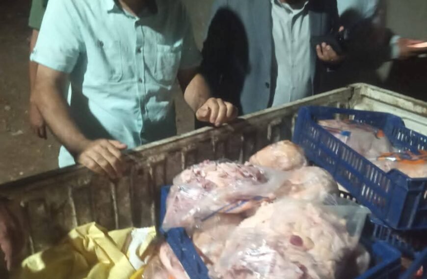 صحة المواطن مسؤولية.. ضبط نصف طن لحوم فاسدة في حملة رقابية بشبين الكوم