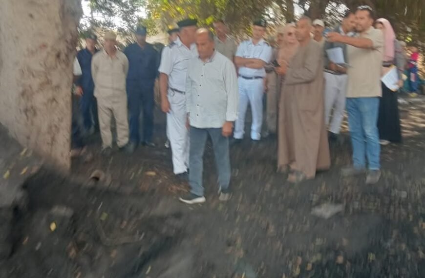 حملة مكبرة لإزالة مكامير الفحم المخالفة بمركز أشمون