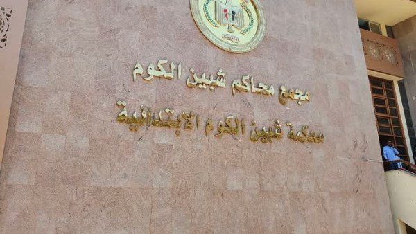 محكمة استئناف المنوفية تؤكد حكم السجن بحق سائق التريلا ومالك السيارة في حادث السنابسة