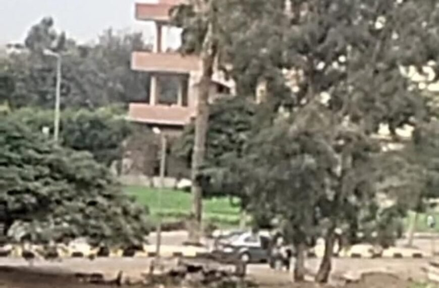 أمطار متوسطة وطقس مائل للبرودة في شوارع المنوفية