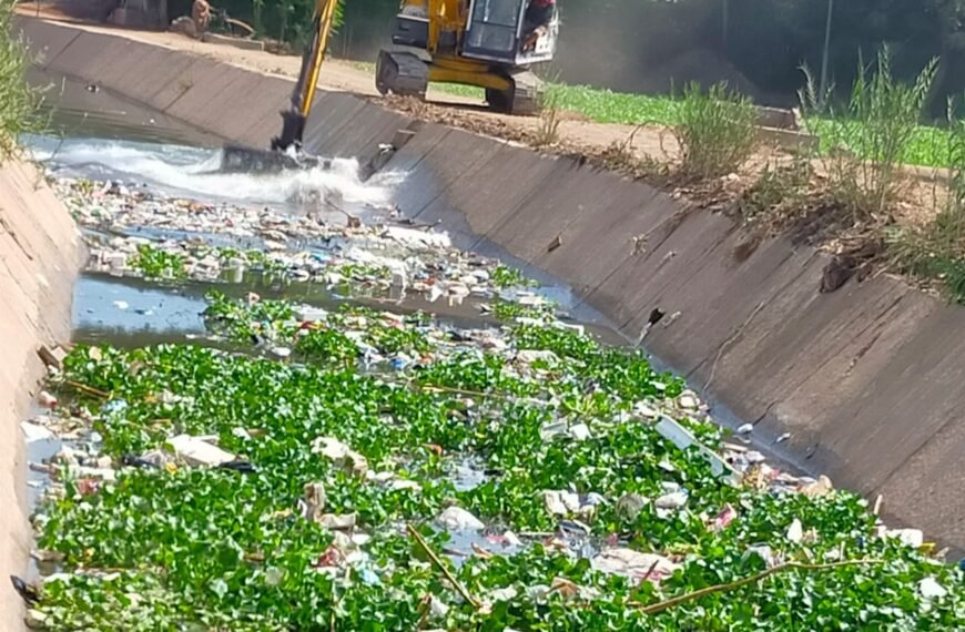 زراعة المنوفية : ترخيص 967 مشروع زراعي منذ يناير وتطهير 10 كم من المساقى الخصوصية خلال أسبوع