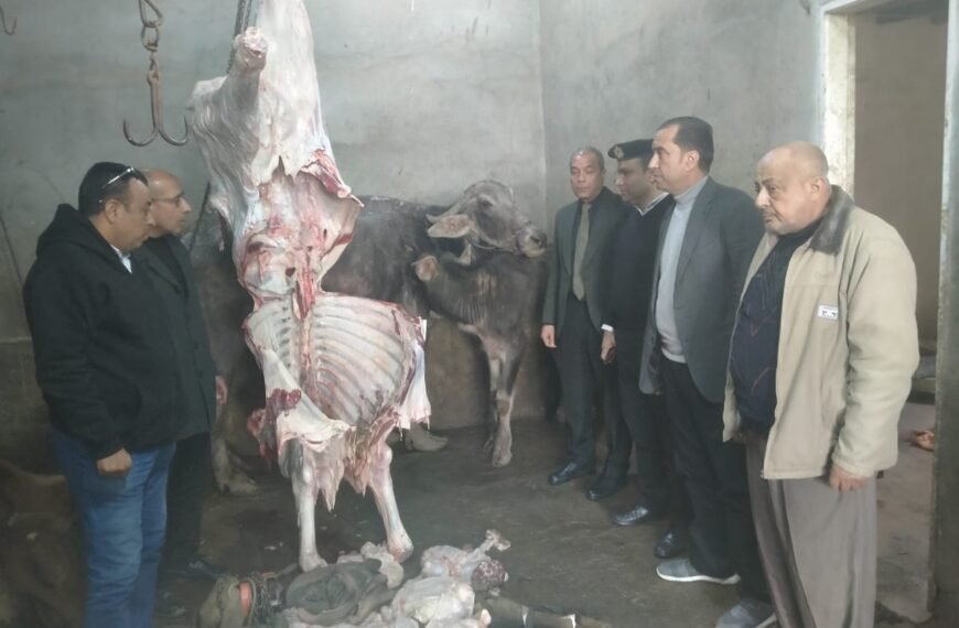 محافظ المنوفية : ضبط ذبائح مريضة وغير صالحة للإستخدام الآدمي وإعدام طن و٨٠٠ ك لحوم