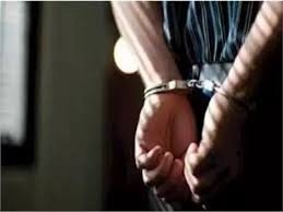 ضبط أب وابنته بتهمه التنقيب عن الآثار بمنزلهما في المنوفية