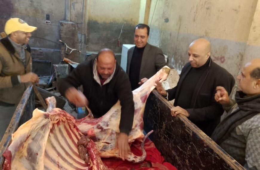 ضبط سلخانة مخالفة وربع طن لحوم مذبوحة خارج المجازر بمركز منوف