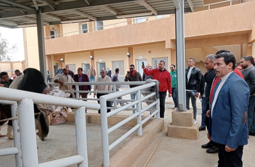 محافظ المنوفية يتابع آليات التشغيل التجريبي لمجزري شبين الكوم وجنزور ببركة السبع باستثمارات تزيد عن 75 مليون جنيه