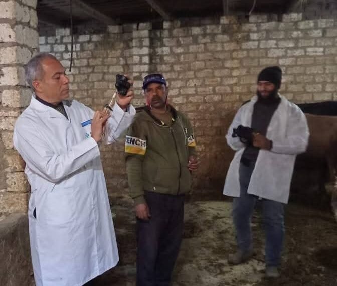 بيطري المنوفية..بدء الحملة الاستثنائية للتحصين ضد مرض الحمى القلاعية المدمج و السات