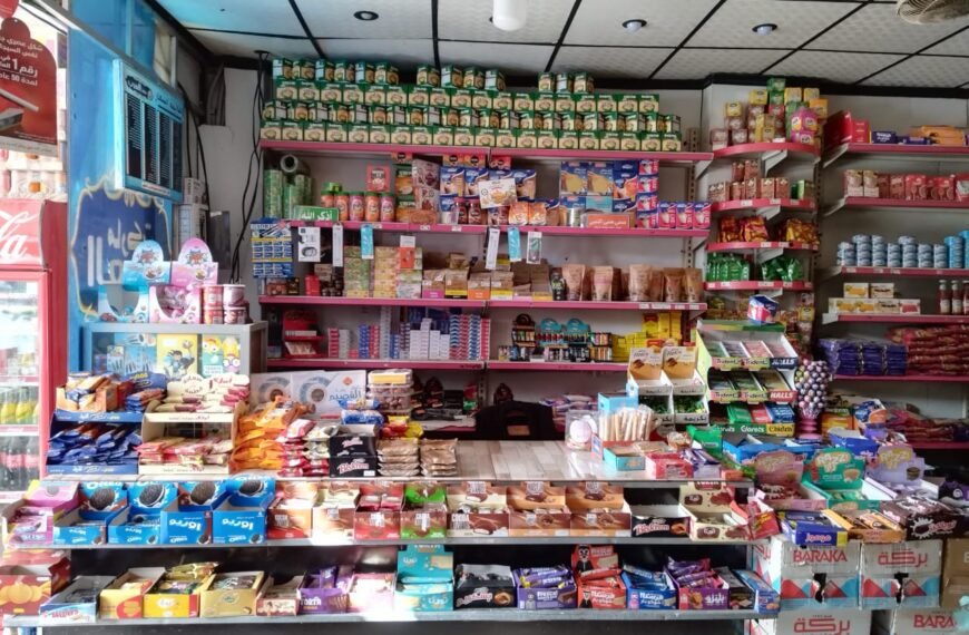 تنفيذ 336 مشروعاً اقتصادياً بتمويل من صندوق التنمية المحلية ومشروع إقراض الأسر خلال عام 2025 بالمنوفية