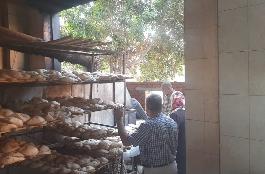 تحرير 237 محضر مخالفات مخابز وأسواق بالمنوفية وحملات يومية لضبط المخالفين