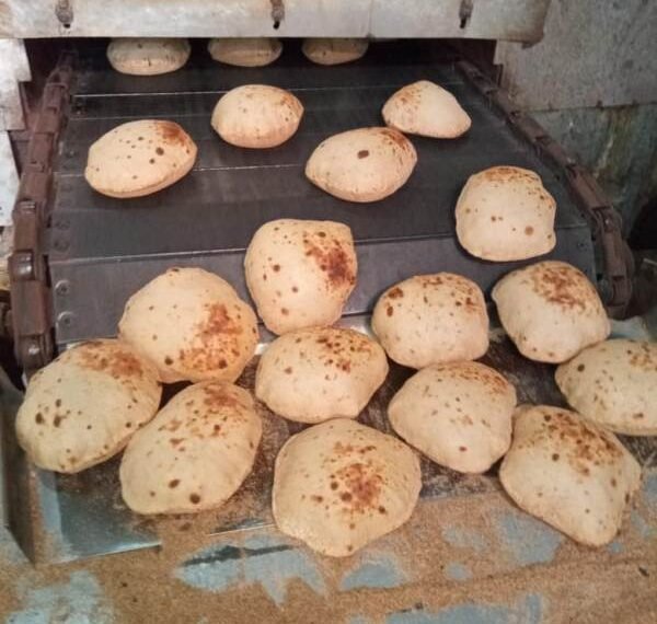 تحرير 214 محضر مخالفات مخابز وأسواق ضبط 160 كجم أسماك غير صالحة للإستهلاك الآدمي بالمنوفية