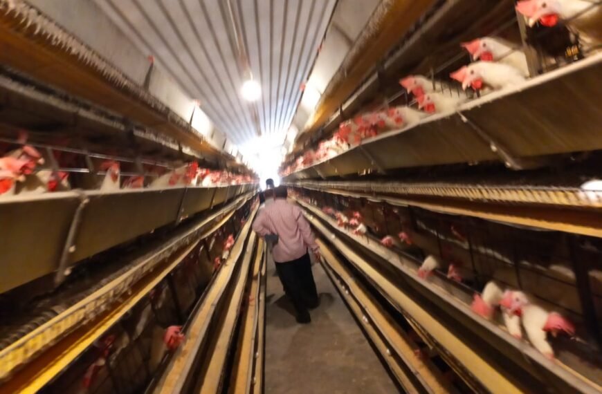 زراعة المنوفية : الموافقة على ترخيص 161 مشروع زراعي متنوع خلال شهرين وتطهير 455 كم مساقى خصوصية