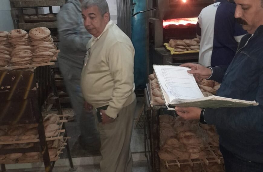 تحرير 15 محضر لمخابز بلدية بقرى دمهوج وشرانيس بقويسنا لعدم مطابقة المواصفات في إنتاج رغيف الخبر