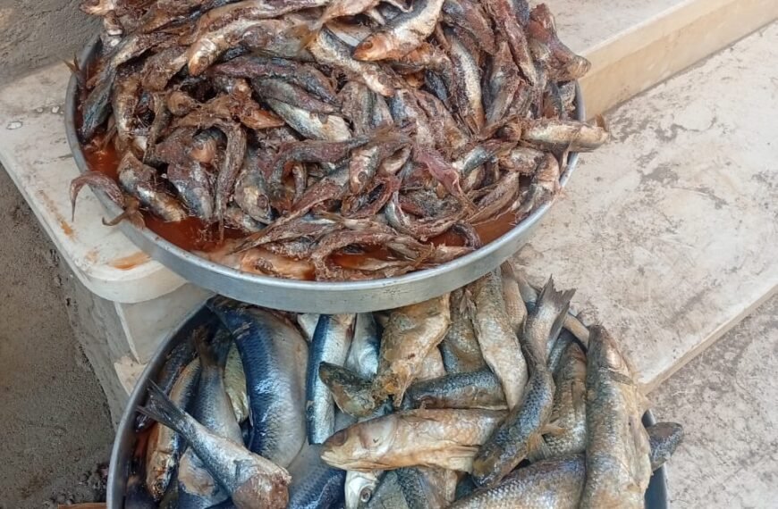 ضبط ٢ ونصف دقيق بلدي مدعم محظور تداوله قبل بيعه&hellip;