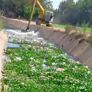 ” زراعة المنوفية ” : تطهير 515 كم مساقى خصوصية لخدمة 37 ألف فدان من أول يوليو 2025 وحتي الآن