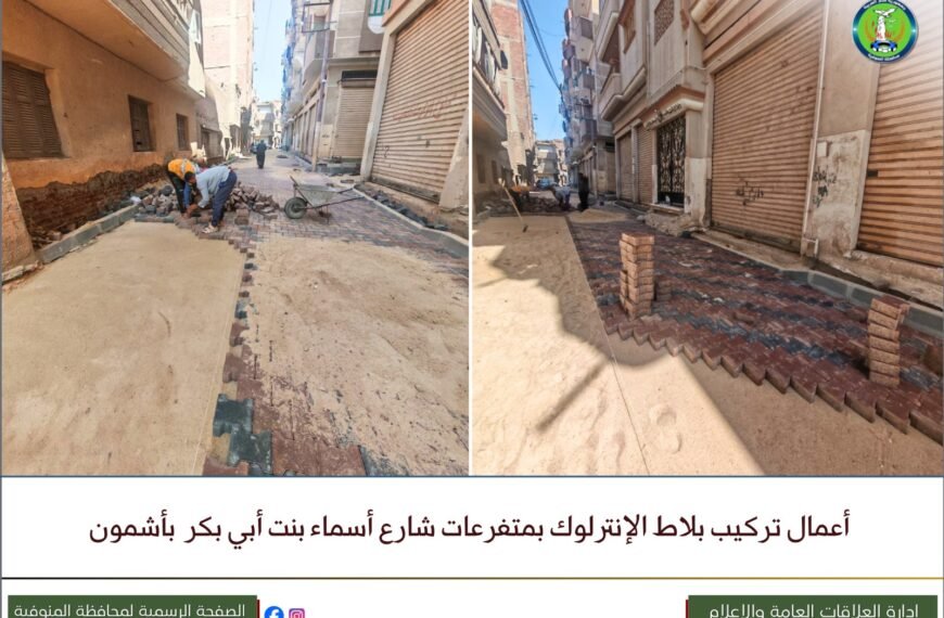 متابعات ميدانية لخطط الرصف والتطوير بمراكز الباجور وأشمون ضمن مشروعات الخطة الاستثمارية